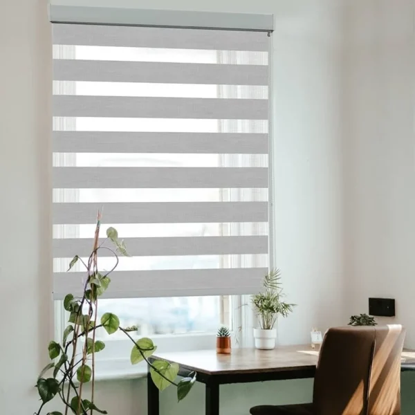 Zebra Blinds