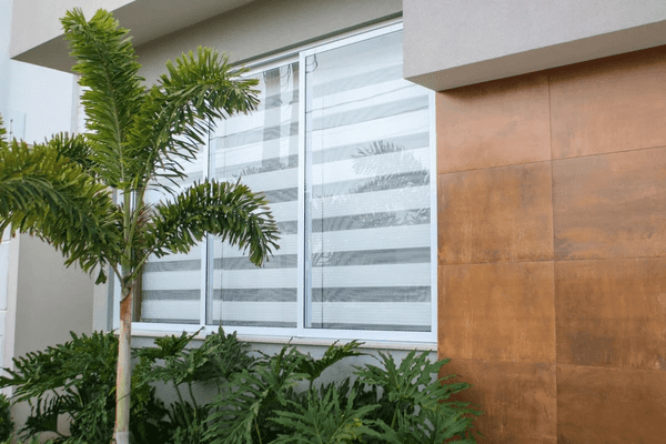 A contemporary house exterior with sleek dual-layer bay window blinds, surrounded by lush green plants and a palm tree.