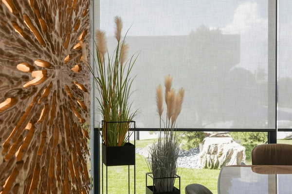 Modern interior with high-quality fabric window roller blinds filtering sunlight, complemented by decorative plants and artistic wooden wall decor.