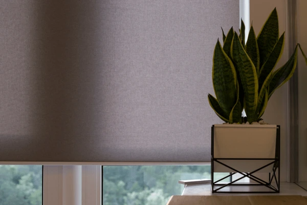 A stylish roman blind 2025 best and cheap in Dubai, paired with a decorative indoor plant for a modern and aesthetic interior design.