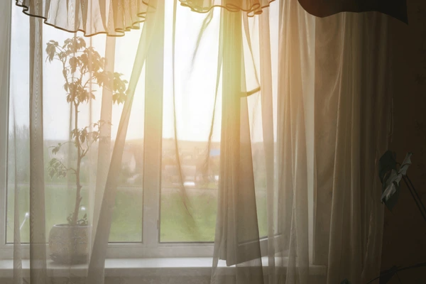 Soft sunlight filtering through sheer curtains with a plant by the window – showcasing top-rated light filtering sheer curtains for Dubai homes in 2025