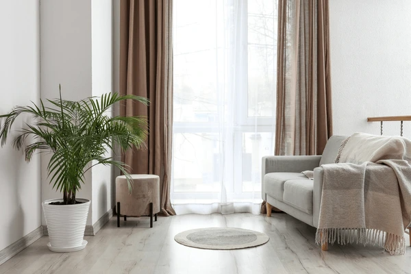 Elegant privacy-enhancing sheer curtains in a cozy living room with a plant and neutral furnishings – ideal for Dubai homes in 2025