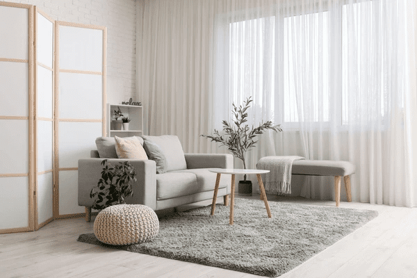Modern minimalist living room with sheer white curtains, grey furniture, green rug, and soft natural lighting.
