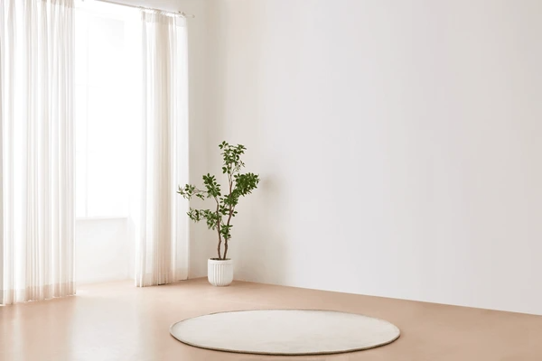 Minimalist living room with soft unwrinkled sheer curtains, a potted plant, and a round rug in a modern Scandinavian interior.