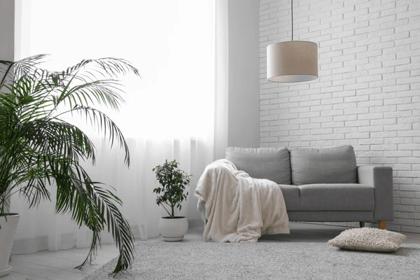 Elegant modern living room with soft white washable curtains, grey sofa, indoor plants, and cozy minimalist décor in Dubai 2025.