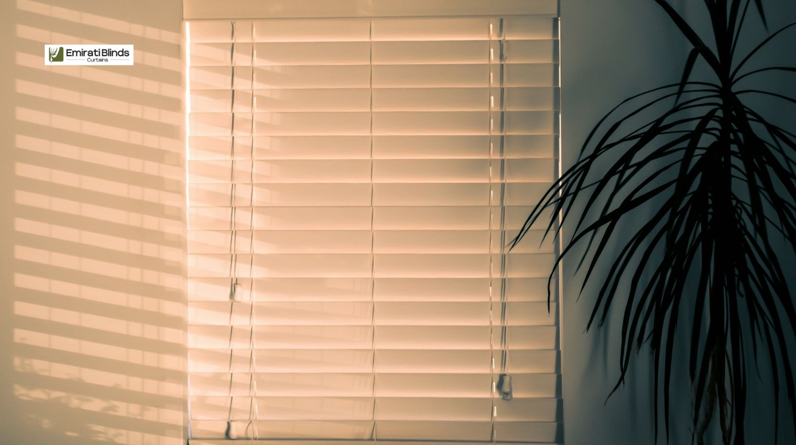 Best blinds in Dubai