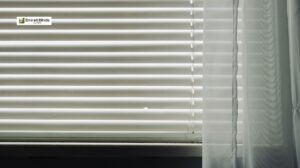 Read more about the article Duplex Blinds Dubai – Modern & Custom Window Solutions by Emirati Blinds Curtain